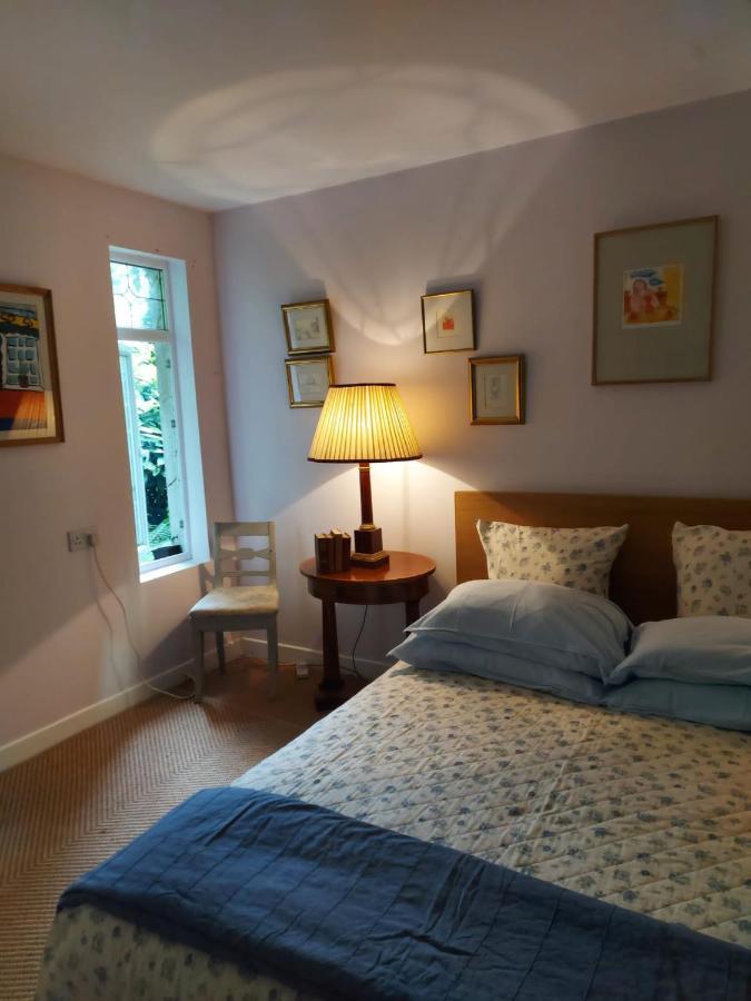 The Old Goathouse Hotel Kildare Buitenkant foto