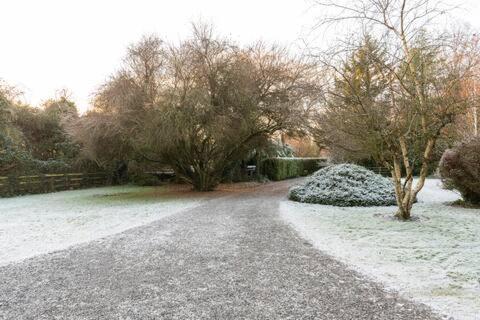 The Old Goathouse Hotel Kildare Buitenkant foto
