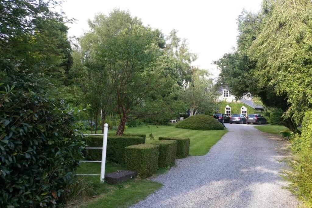 The Old Goathouse Hotel Kildare Buitenkant foto