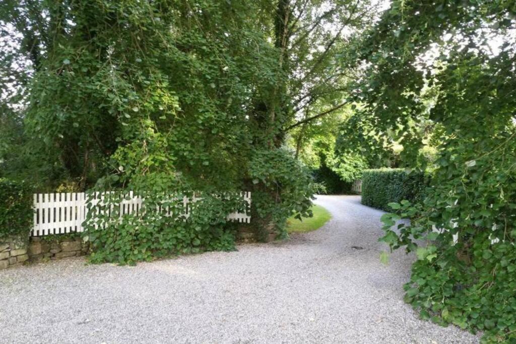 The Old Goathouse Hotel Kildare Buitenkant foto